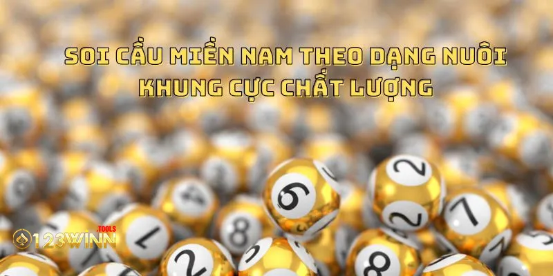 Soi cầu miền Nam theo dạng nuôi khung cực chất lượng